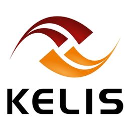 Kelis Conseil Et Développement